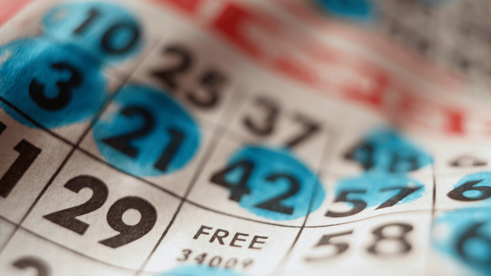 Vše o online bingo kartách a hovorech image