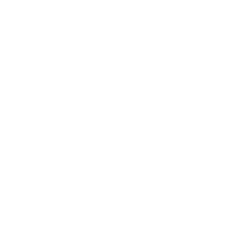 Spinch Logotype