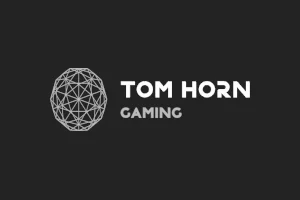 10 nejlepších Online Kasino Tom Horn Gaming2024