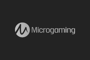 10 nejlepších Online Kasino Microgaming2024
