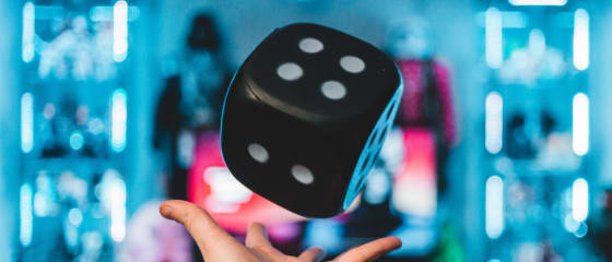 PorozumÄ›nÃ­ hranÄ› Casino House a rizikovÃ½m prvkÅ¯m v online hrÃ¡ch