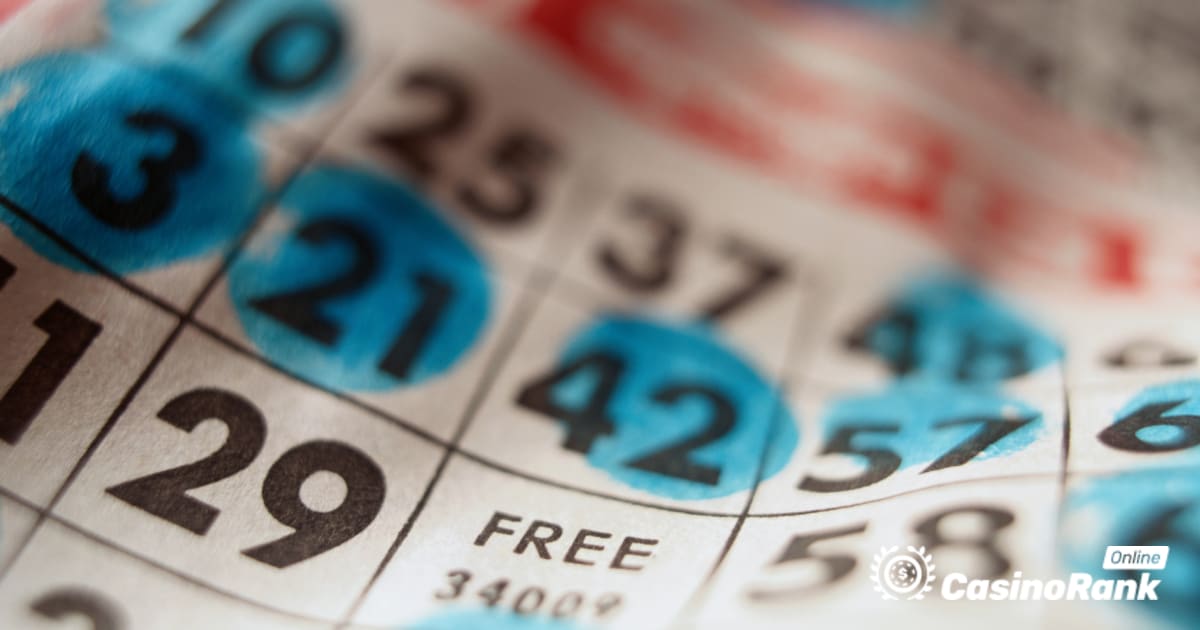 Vše o online bingo kartách a hovorech
