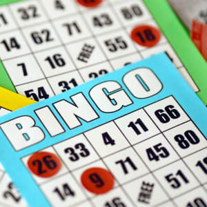 Naučte se hrát Bingo online